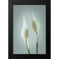 thumbnail image 2 of Mahan, Kathy 13x18 Black Modern Framed Museum Art Print Titled - Peace Lily II, 2 of 5
