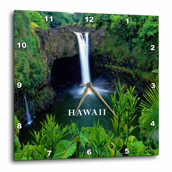 Hawaii Clocks