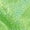 Z-Green271, variant on Big Boys T Shirt Sequin Glitter Short Sleeved Tshirt Child Party Dancewear Loose Fashion T Shirts Green,Size 15-16 Years
