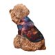 thumbnail image 5 of Fotbe Forest Koala Sudadera con Estampado para Perros Pequeños – Suéter con Capucha para Mascotas, Tela Suave de Forro Polar con Bolsillo-Small, 5 of 7