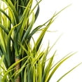 thumbnail image 2 of Vickerman 40" Artificial Potted Green Yucca, 2 of 6