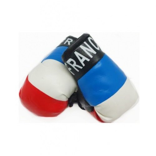 France - Mini Boxing Gloves (approx 4")
