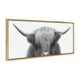 thumbnail image 2 of Kate and Laurel Sylvie Hey Dude Highland Cow Framed Canvas Wall Art by The Creative Bunch Studio, 18x40 Gold, Decorative Farmhouse Wall Décor, 2 of 6