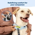 thumbnail image 4 of PetSafe Easy Walk Comfort No-Pull Dog Harness, 5 Adjustement points, M/L, Blue, 4 of 8