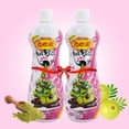 thumbnail image 1 of DENAJEE Satreetha Shampooing, 400ml Chacun (Lot de 2), 1 of 4