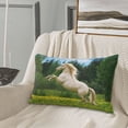 thumbnail image 5 of Lsque Horse Rearing Up In The Field Pattern Pillow Case – Soft & Cozy Throw Pillow Cover, Hypoallergenic Cushion Case for Sleeping Women with Envelope Closure-20"x30", 5 of 6
