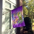 thumbnail image 2 of Little Mr. Mardi Gras Flag Canvas House Size 28 in x 40 in, 2 of 4