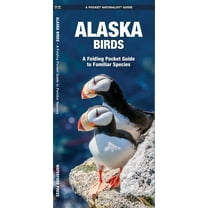 Pocket Naturalist Guides: Alaska Birds: A Folding Pocket Guide to Familiar Species (Other)