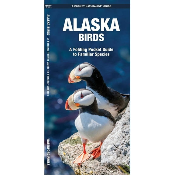 Pocket Naturalist Guides: Alaska Birds: A Folding Pocket Guide to Familiar Species (Other)