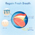thumbnail image 2 of Graflsoa Stainless Steel Tongue Cleaner for Fresh Breath, Ergonomic Design, Durable & Reusable, Multiple Colors Available, Portable Oral Hygiene Tool, 2 of 6