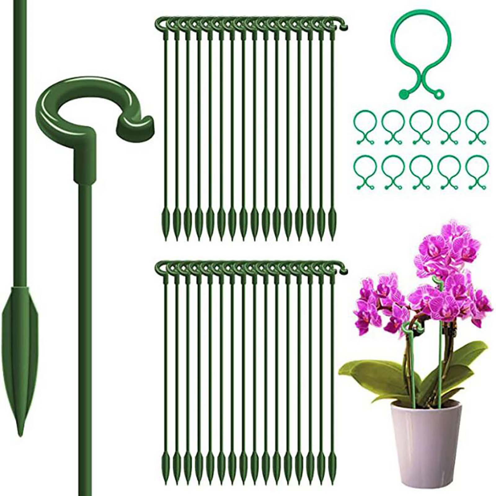 Buy Garden Singlestem Plant Support Frame Support Ring Plant Flower