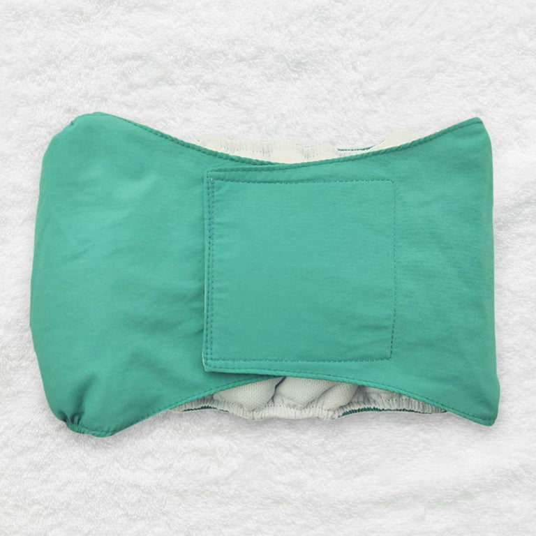 Cat diapers clearance walmart