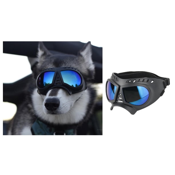 Gafas para perros con correa ajustable protección Disfraz contra la niebla para conducir Razas azul perfecl