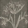 thumbnail image 2 of Wild Apple Portfolio 26x26 Gold Ornate Wood Framed with Double Matting Museum Art Print Titled - Botanical Beauty Chalk Square IV, 2 of 4