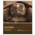 thumbnail image 2 of Tortoise - Pet Expert: Understanding and Caring for Your Pet (Pet Expert), 2 of 2