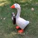 thumbnail image 1 of Magnetic Goose Key Holder Resin Duck Key Storage Rack Sculpture Goose Decoration Animal Figurine for Entryway Kitchen Office Living Room Desktop Ornam, 1 of 3