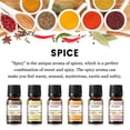thumbnail image 5 of EUQEE Fragrance Oil Set, Scented Oil 6x10ml for Candle Making Soap Slime, Essential Oils for Diffuser Home, Sandalwood, Harvest Spice, Gingerbread, Pumpkin Pie, Bay Rum, 5 of 14