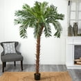 thumbnail image 2 of Nearly Natural 7' Cycas Palm Artificial Tree, 2 of 5