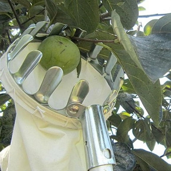Garden Fruit Picker Metal Head Cloth Bag Apple Pear Peach Picking Catcher Tool