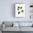 thumbnail image 3 of Julia Purinton 'Botanical Study III Greenery' Canvas Art, 3 of 4