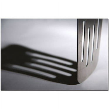 Trademark Fine Art "Spatula II" Canvas Art by Tammy Davison