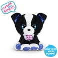 thumbnail image 2 of ZURU Surprise Puppy Plush - Border Collie Puppy with Electronic Speak and Repeat, 2 of 7