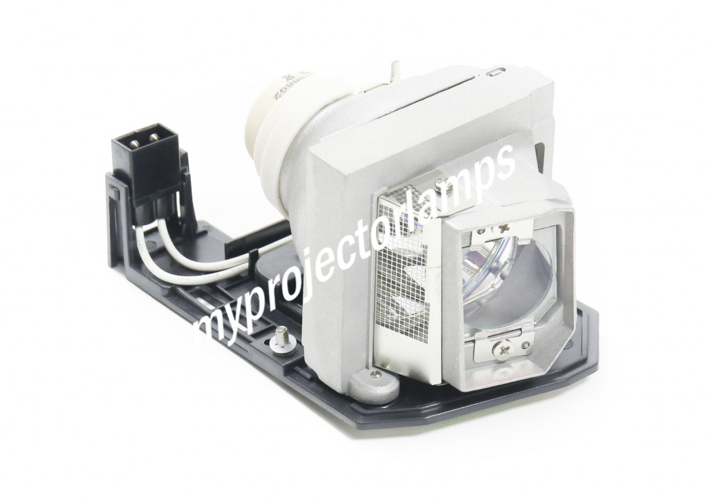 Optoma SP.8RU01GC01 Projector Lamp with Module - image 1 of 3