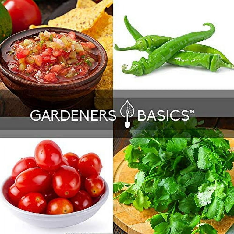 Where to Buy All-in-One Salsa Garden Variety Pack seeds 