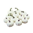 thumbnail image 3 of 6PCS Artificial Pumpkins,Fake Mini Pumpkins,Fall Harvest Faux White Pumpkins for DIY Craft & Halloween Thanksgiving Wedding Centerpieces, 3 of 7