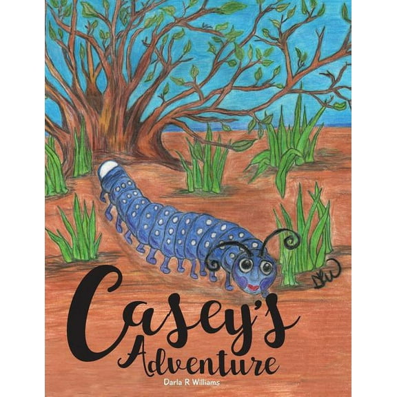 Casey's Adventure, (Paperback)