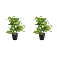 thumbnail image 2 of Wosthever Plantas falsas en macetas de tortuga, hojas artificiales de bajo mantenimiento para oficina en el hogar, amigable con la piel Type2 NO2, 2 of 6