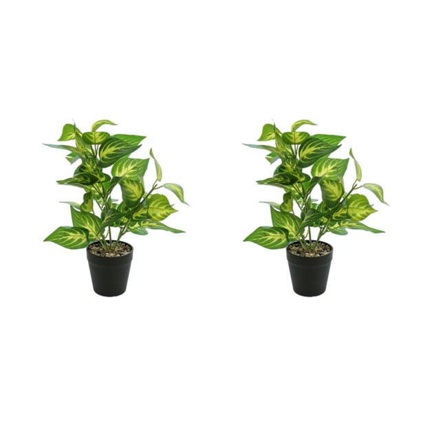 Inteprter Planta en maceta de tortuga ecológica, plantas artificiales de bajo mantenimiento para decoración de balcón, sala de estar JH5473 JH5473 2Conjunto