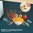 thumbnail image 3 of Infrared Induction Crab Crawling Toy with with Music Light Effect USB Rechargeable Crab Toy with Sensor Obstacle Avoidance Function Electric Crab Moving Toy for Boys Girls Ages 18 Months+, 3 of 8