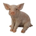 thumbnail image 4 of 10" Small Sitting Pig Outdoor Garden Statue, 4 of 5