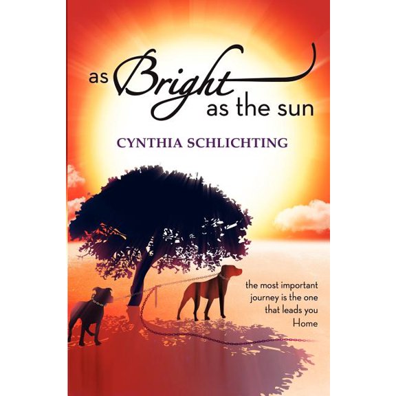 As Bright as the Sun (Paperback)