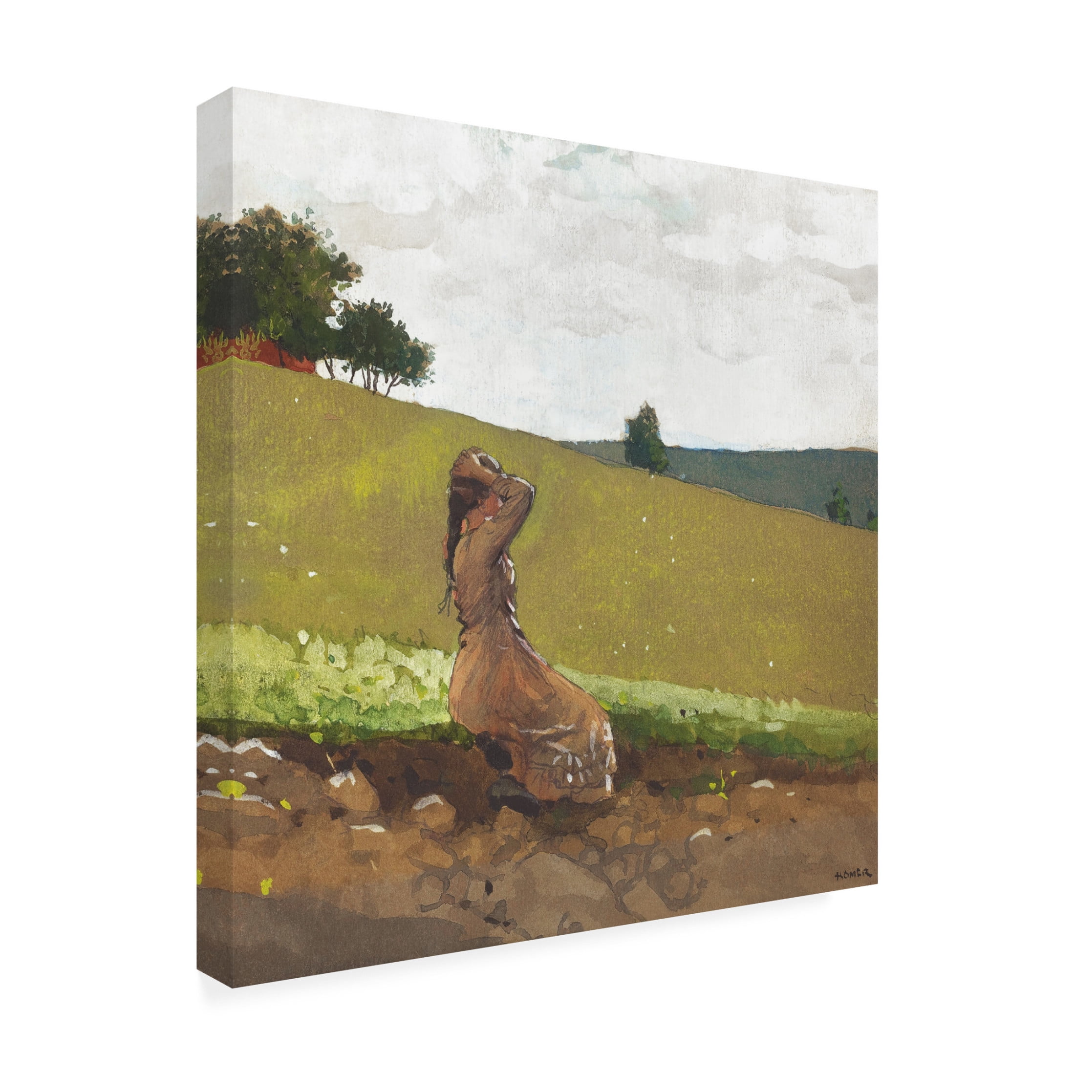 Trademark Fine Art Winslow Homer  Homer's Sheep Countryside IV Canvas Wall Art