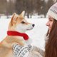 thumbnail image 4 of Christmas Dog Cat Santa Scarf, Dog Winter Knitted Scarf Pet Winter Neck Warmer Costume With White Pompom Ball, 4 of 5