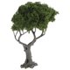 thumbnail image 4 of Árboles para micropaisajismo: Árbol en miniatura - Decoración vegetal para micropaisajismo - Adorno paisajístico para mesa de arena - Minipaisajismo, 4 of 7