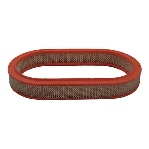 Pentius PAB3597 Pentius Filter Fits select: 1981-1986 FORD ESCORT, 1981-1986 MERCURY LYNX