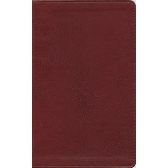 Pre-Owned The Message//REMIX New Testament: The New Testament in Contemporary Language (Unknown) 1576838641 9781576838648