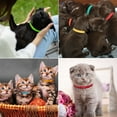 thumbnail image 3 of mmirethe 15pieces ID Colliers pour Chiots Couture Fine Colliers Non Irritants pour la Peau Réglables, 3 of 6
