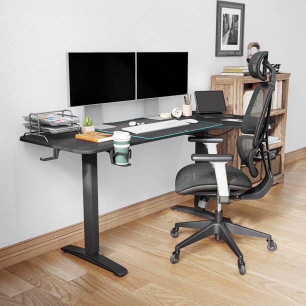 LINSY HOME 63" x 24" Electric Ergonomic Standing Desk Adjustable Height