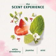 Herbal Essences Bio:Renew Daily Cleanse White Strawberry & Sweet Mint Conditioner 13.5 fl. oz. Bottle