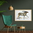 thumbnail image 2 of Antelope Wall Art with Frame, Illustration of a Single Animal Colorful Hand Drawn Sketch, Printed Fabric Poster for Bathroom Living Room, 35" x 23", White Taupe Grey, by Ambesonne, 2 of 2