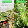 thumbnail image 3 of Garden Vegetable Insect-proof Net  Bird-proof Net  Garden Mesh Net  Plant Fruit and Vegetable Protector  Mosquito-proof Cover  Garden Plant  Vegetable  Crop  Fruit Net, 3 of 7