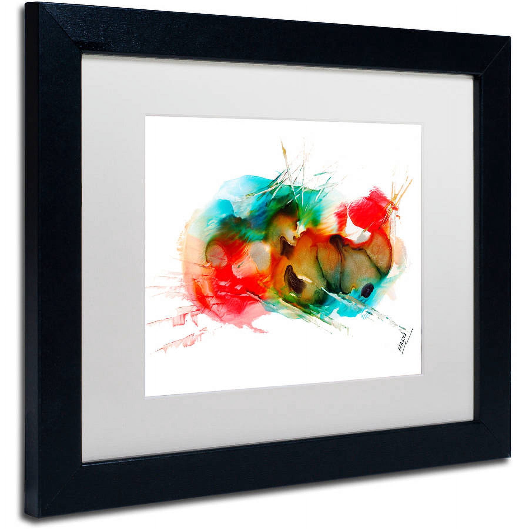 Trademark Fine Art "Abstract 01" Canvas Art by Mako, White Matte, Black Frame
