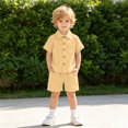 thumbnail image 2 of HAYIMI Toddler Boys Girls Short Sleeve Summer Casual Gentleman Tops Solid Color Shirts T Shirt Shorts Outfit Sets Stylish Clothes Sets, 2 of 6