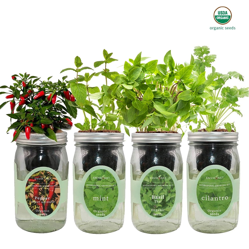 Ball Herb Growing Kit Basil Cilantro Mint Self-Watering Indoor Gardening 3 Jars 