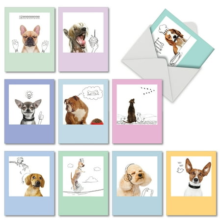 M6582OCB DOGS & DOODLES' 10 Assorted All Occasions Note Cards Featuring Adorable Doggie Images Combined with Line Drawings to Create Fun and Funky Portraits, with Envelopes by The Best Card