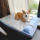 thumbnail image 1 of Summer Cooling Dog Bed with Pillow Thick Mat for Dogs Pets Sofa for Small Medium Large Dogs Cats Cool Dog Pad Pet Supplies ShopWise Round, 1 of 8
